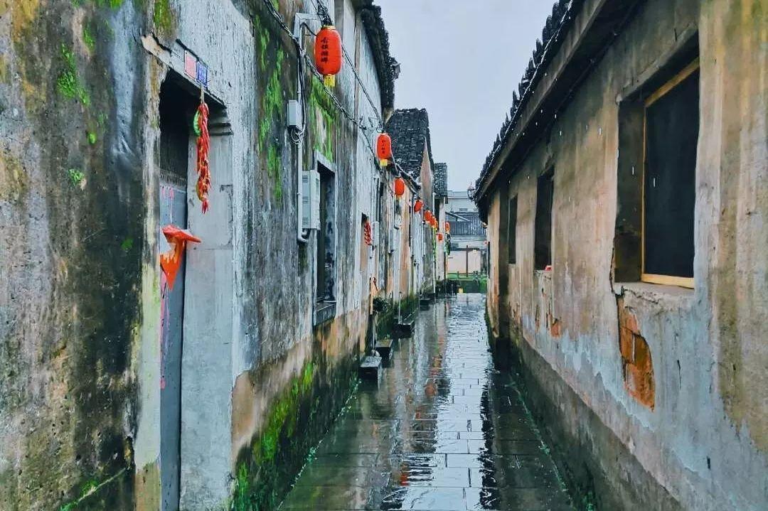 奥莉的夏威夷之旅